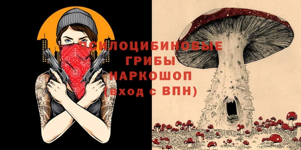 ПСИЛОЦИБИНОВЫЕ ГРИБЫ Абаза