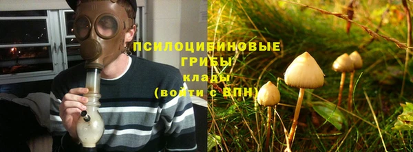 индика Абдулино