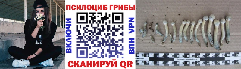 блэк спрут маркетплейс  Ангарск  Псилоцибиновые грибы мухоморы  где найти наркотики 